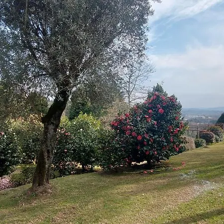 シャレー Casas Da Tapada Briteiros Casa Dos Ficos *