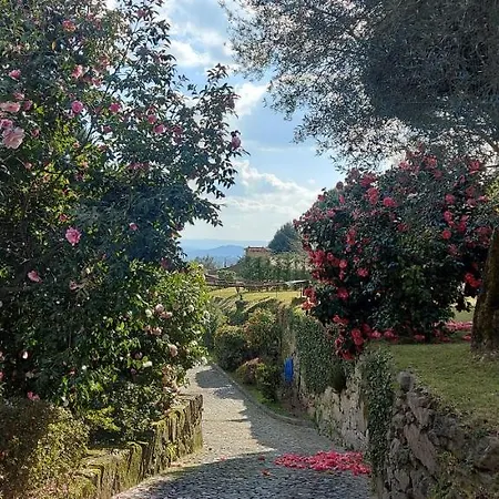 Casas Da Tapada Briteiros Casa Dos Ficos *