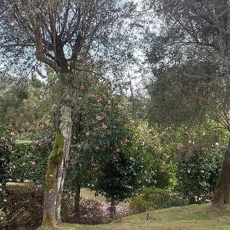 Casas Da Tapada Briteiros Casa Dos Ficos ギマランイス