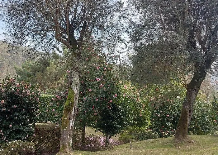 Casas Da Tapada Briteiros Casa Dos Ficos Гимарайнш